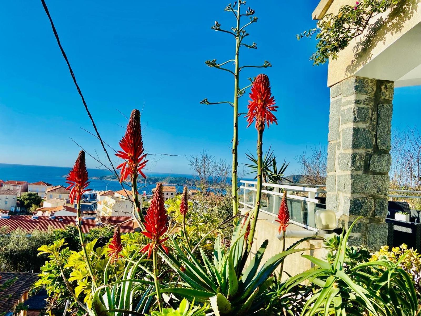 Villa Montalbo Vue Mer De 2 A 10 Personnes Cargese Ngoại thất bức ảnh